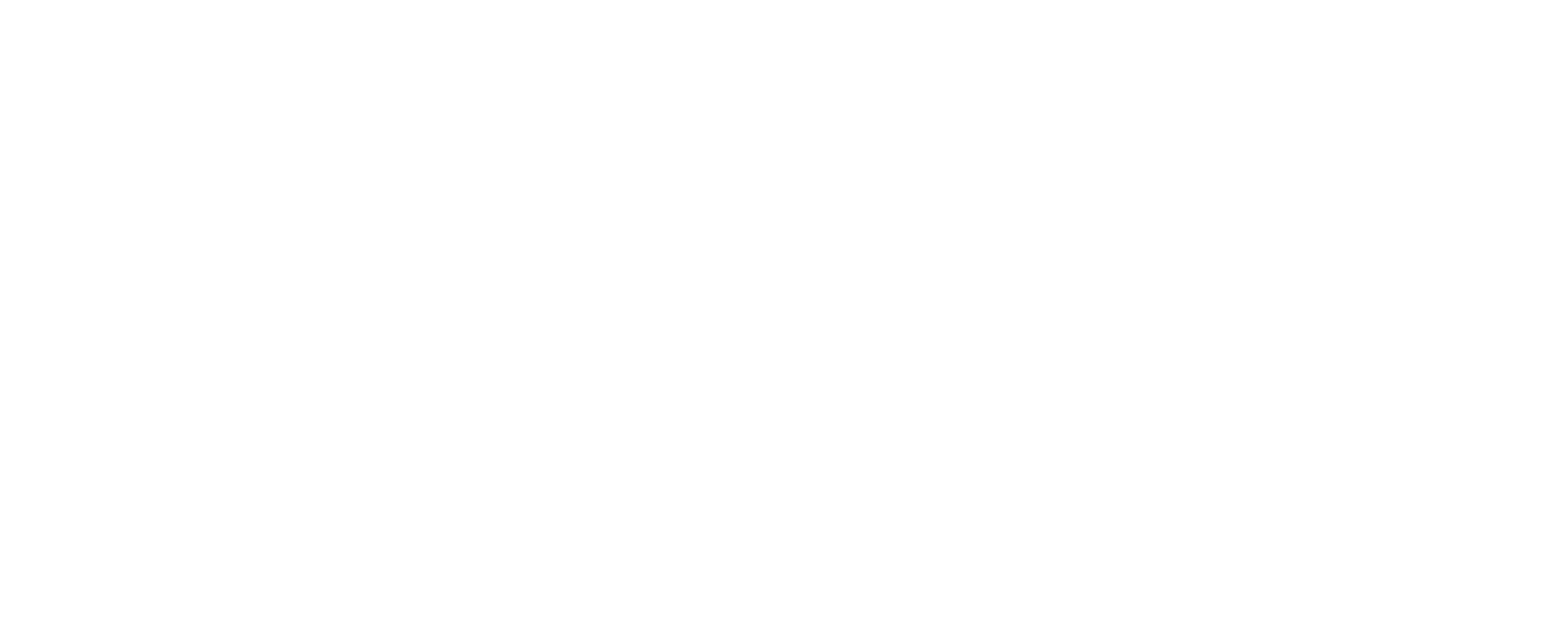 logo2